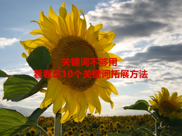 關鍵詞不夠用，看看這10個關鍵詞拓展方法！